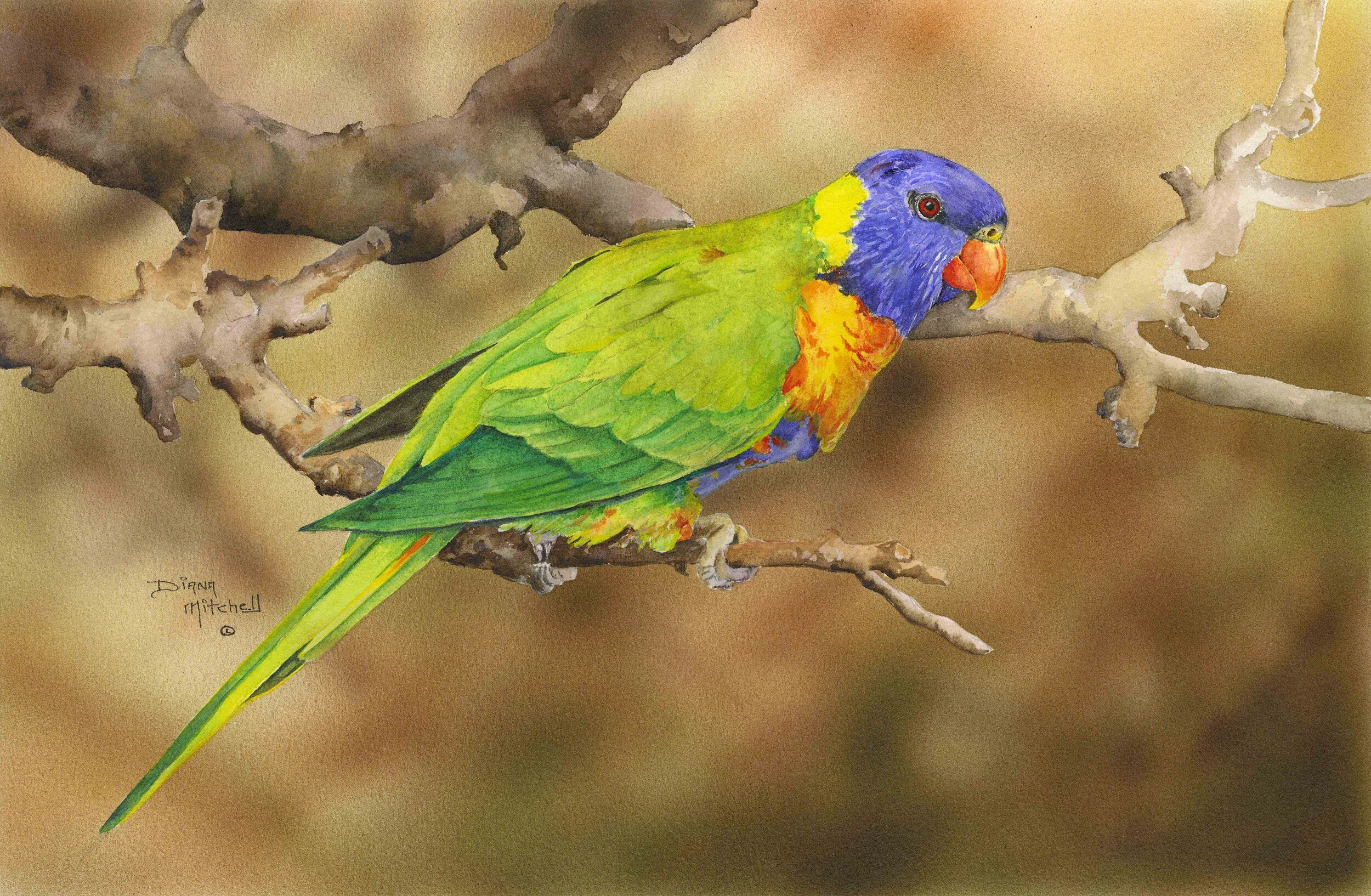 Out On A Limb