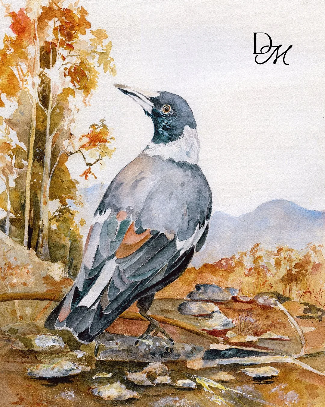 Full of attitude and curiosity, Are You Talkin&rsquo; to Me? captures the unmistakable personality of the magpie.⁠
⁠
A fun piece for any bird lover. Available as a print at dianamitchellart.com 🖤