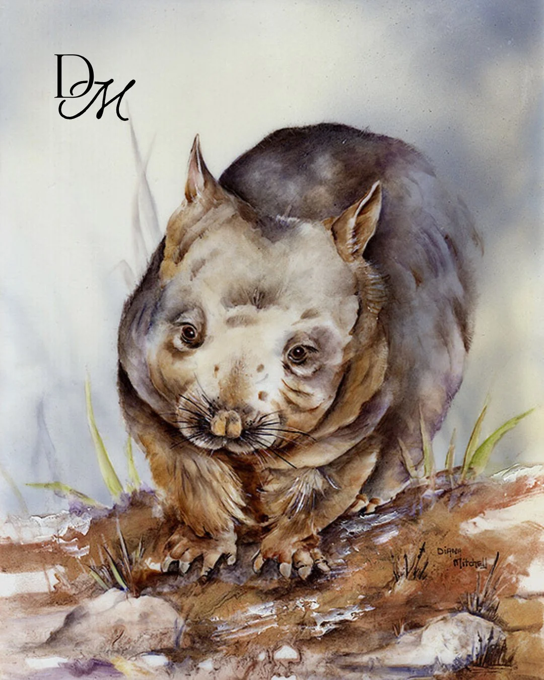 A gentle wombat doing what wombats do best &mdash; simple joys of the bush 🌿 Add Just Eating Leaves to your collection via link in bio.