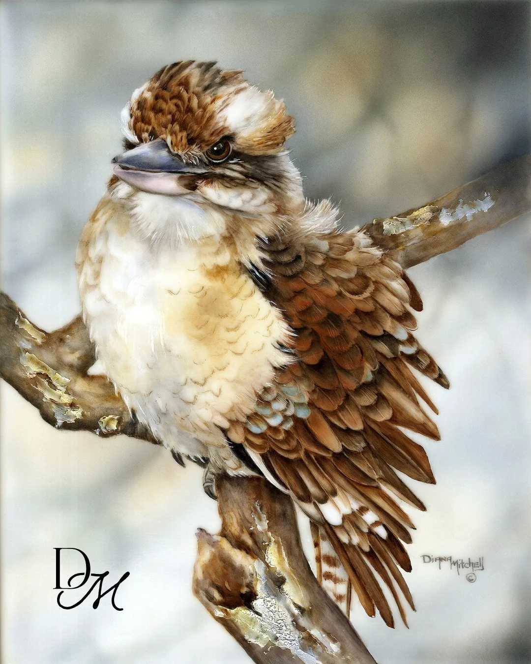 A kookaburra caught in a moment of pure personality, feathers puffed and full of charm. Warm, familiar, and beautifully expressive. Discover All Fluffed Up via the link in bio.