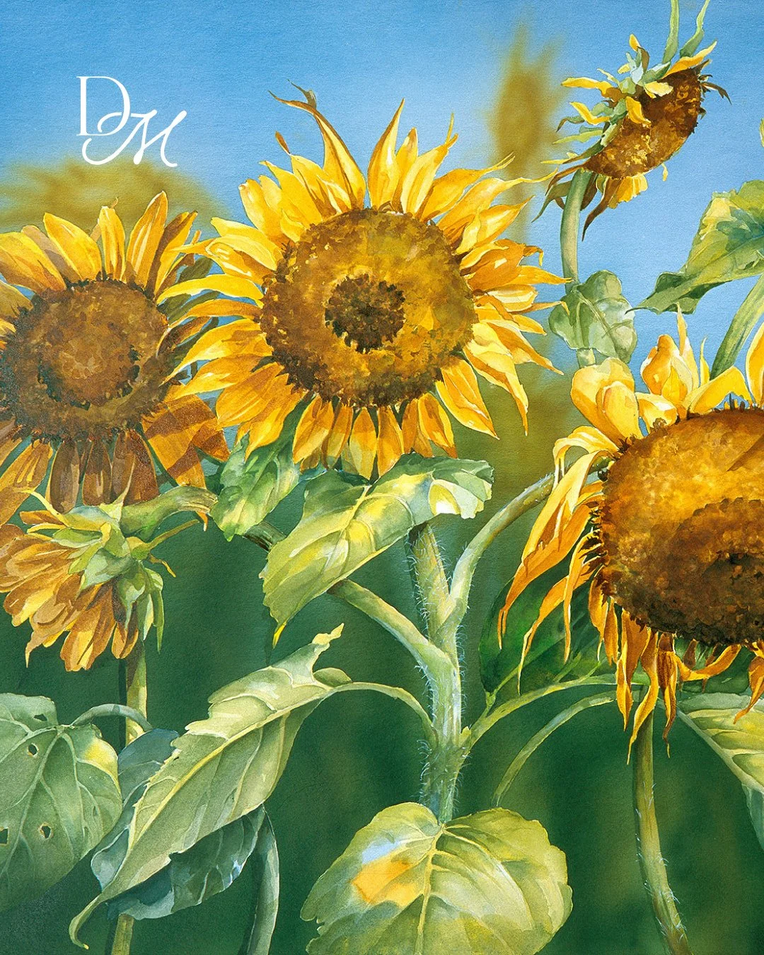 Sunflowers bathed in calm, steady light, inspired by the warmth and simplicity of the Tuscan countryside. A joyful yet grounded artwork filled with sunshine. Available to purchase &mdash; see link in bio.