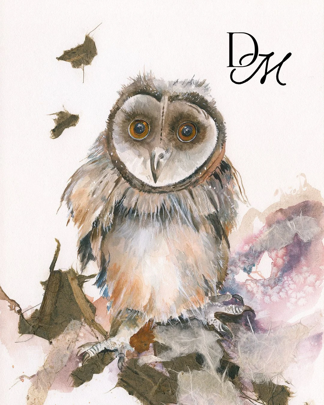 A steady gaze meets the viewer, capturing the quiet intensity of the owl. A striking portrait that feels both watchful and calm. Discover Here&rsquo;s Looking At You via the link in bio.