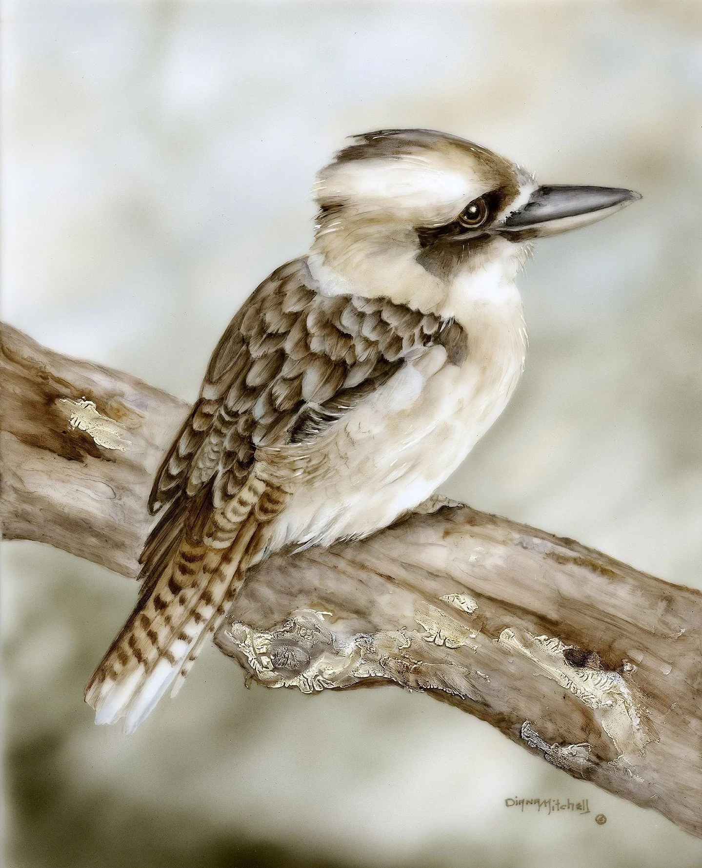 Perched in the early stillness, Morning Song captures the quiet presence of a kookaburra before the day begins. View Morning Song via the link in bio 🍃