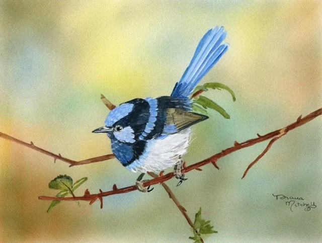 Blue Wings