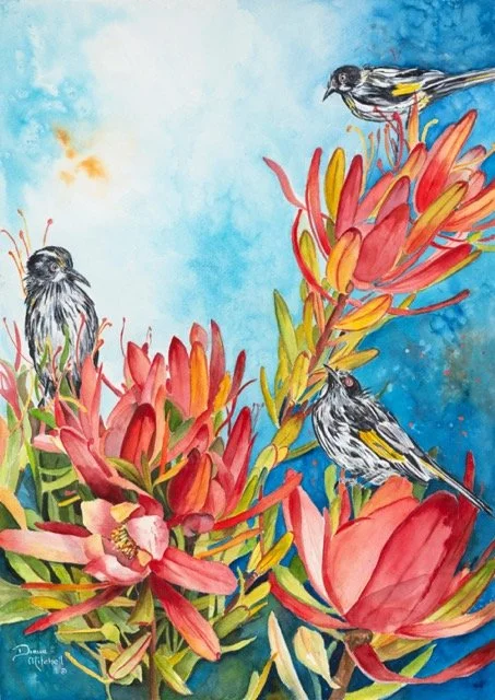Honeyeaters In The Leucadendrons