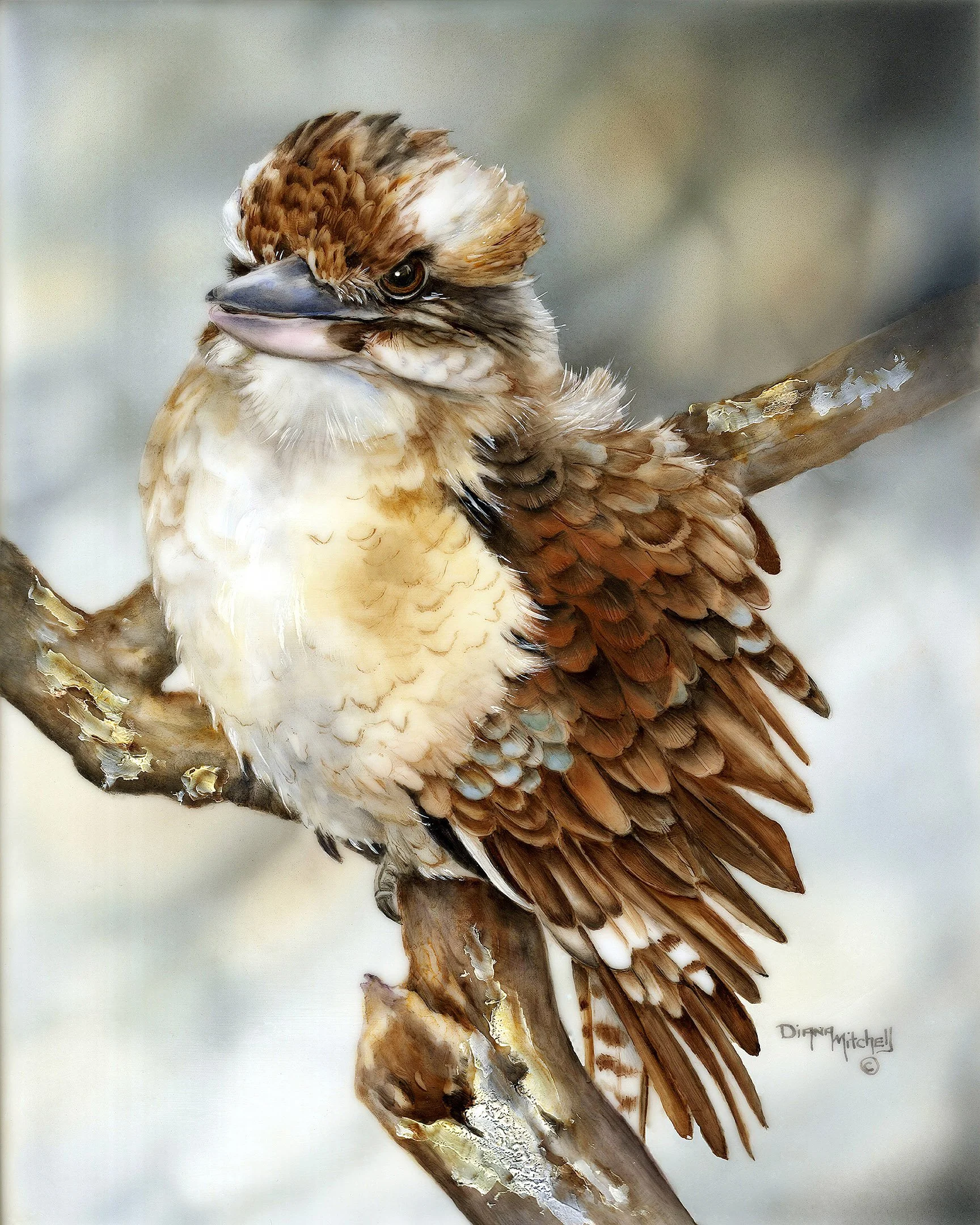 All Fluffed Up