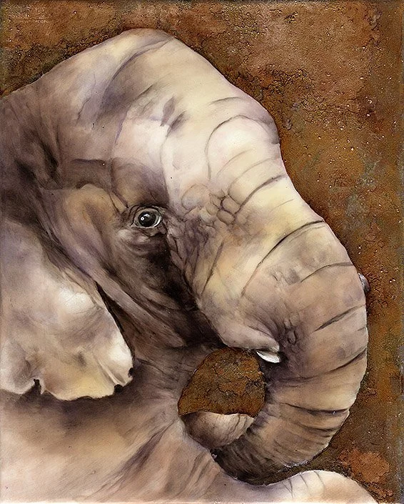 Baby Elephant