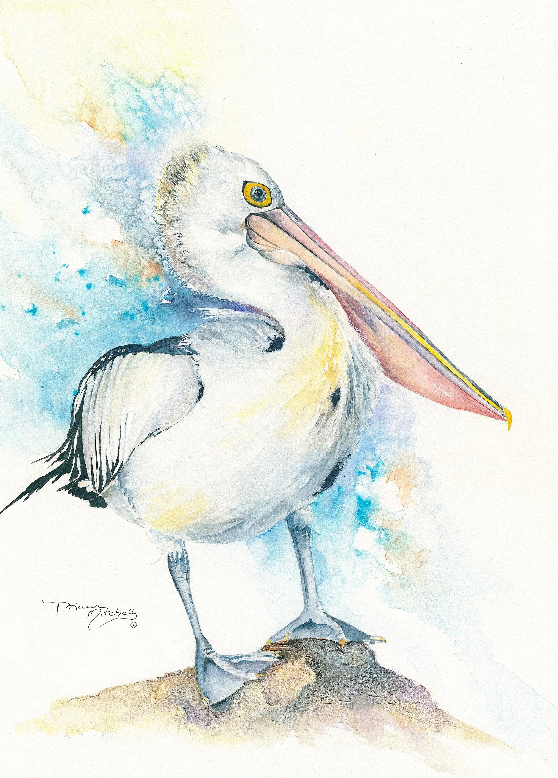 Looking for Percival