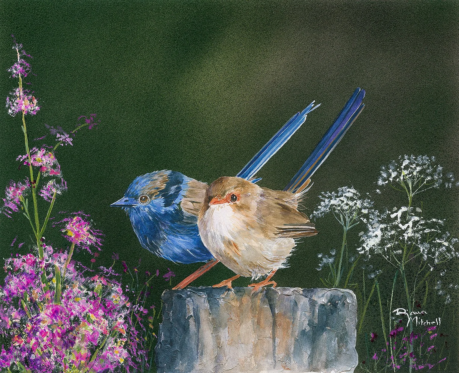 Blue Wings In The Field