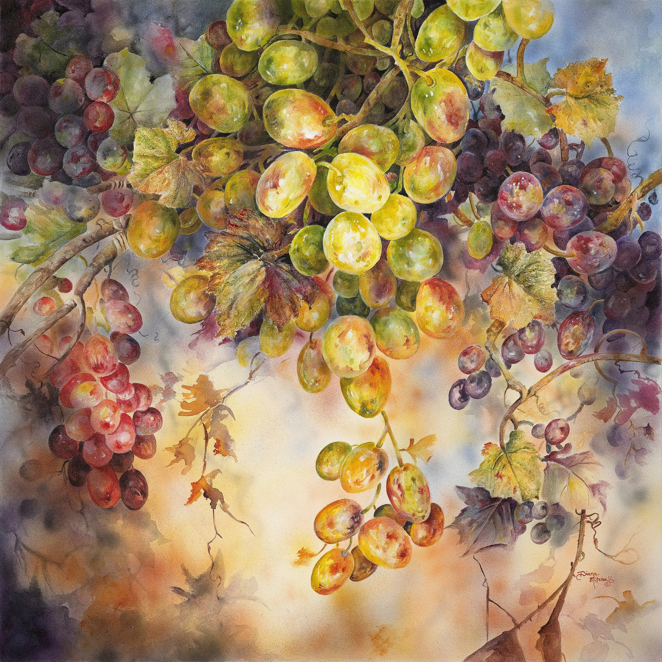 Harvest Glow