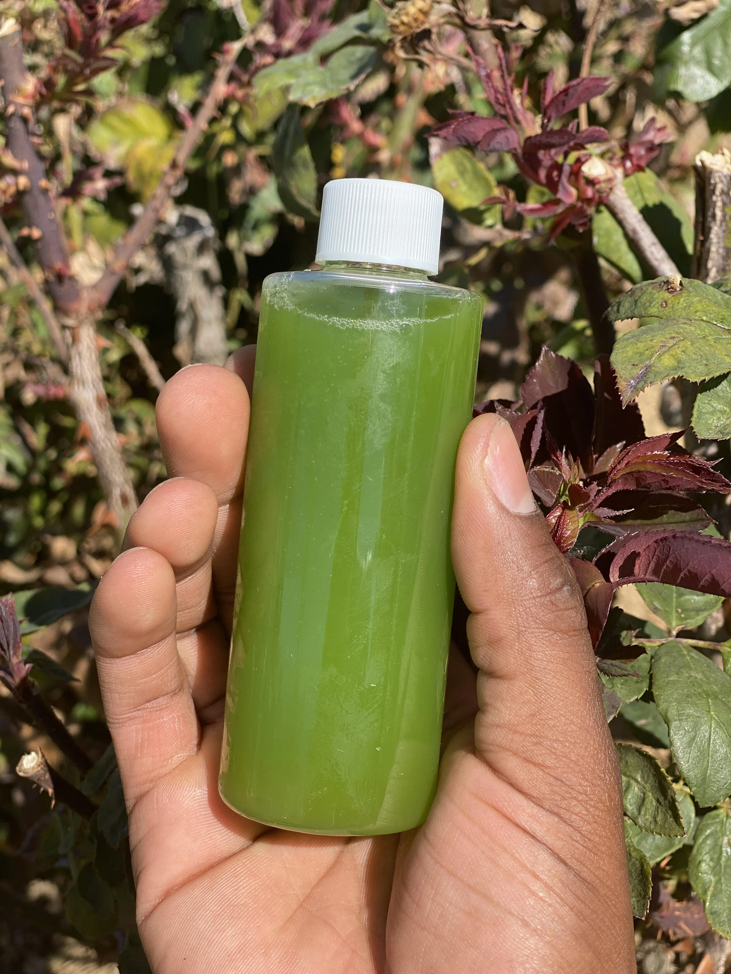 Divine Juicery & Nutrition