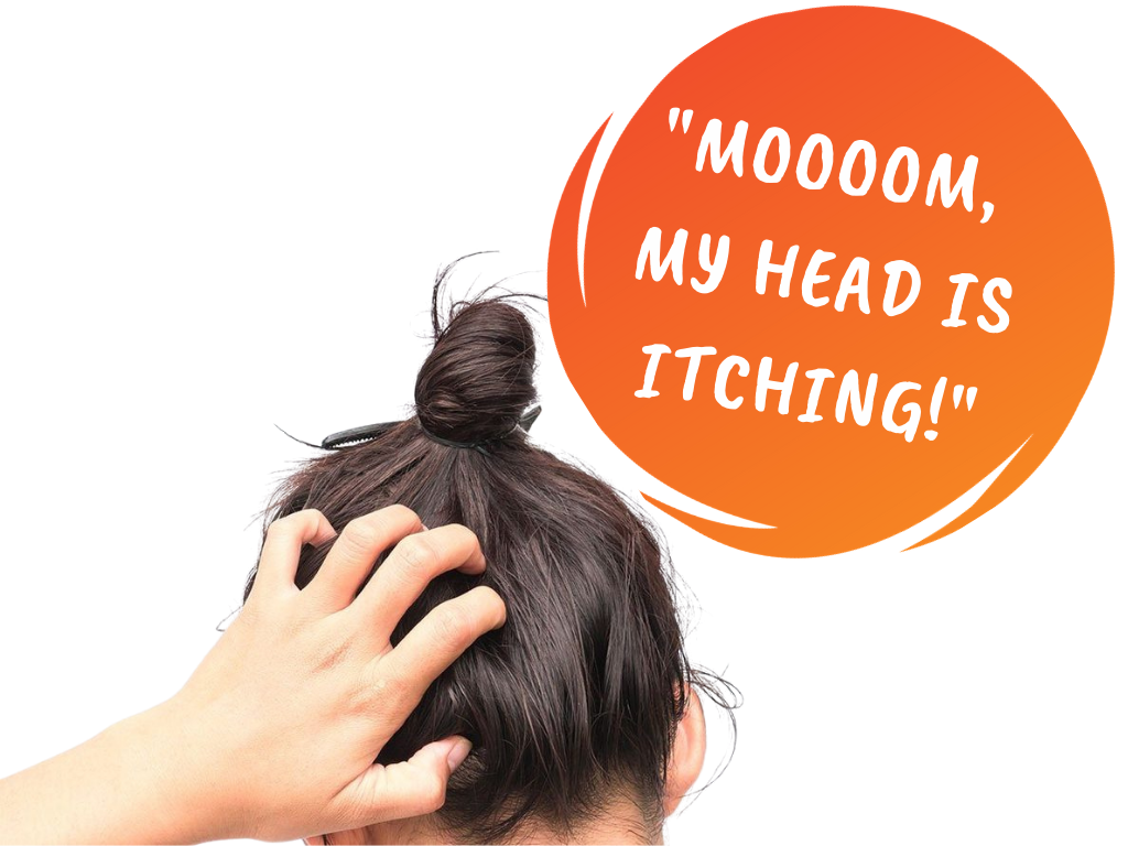 Special offers to remove lice in one day — Lice Specialists