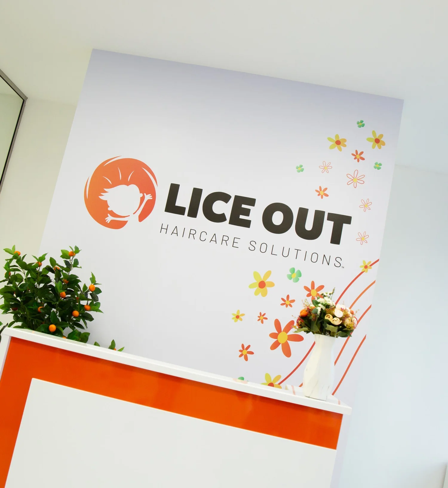 Special offers to remove lice in one day — Lice Specialists