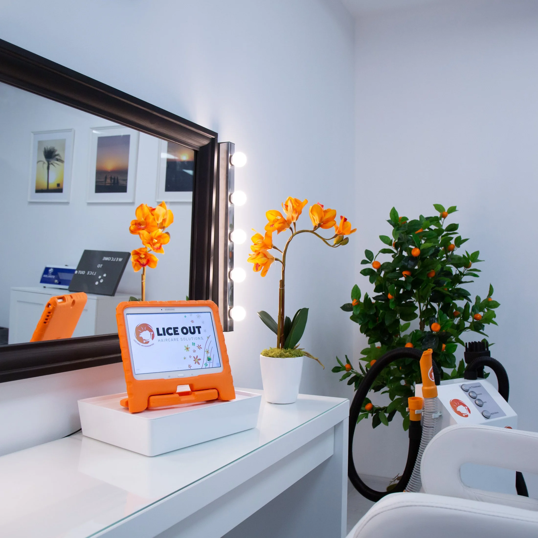 Lice Specialists Lice Clinic Dubai
