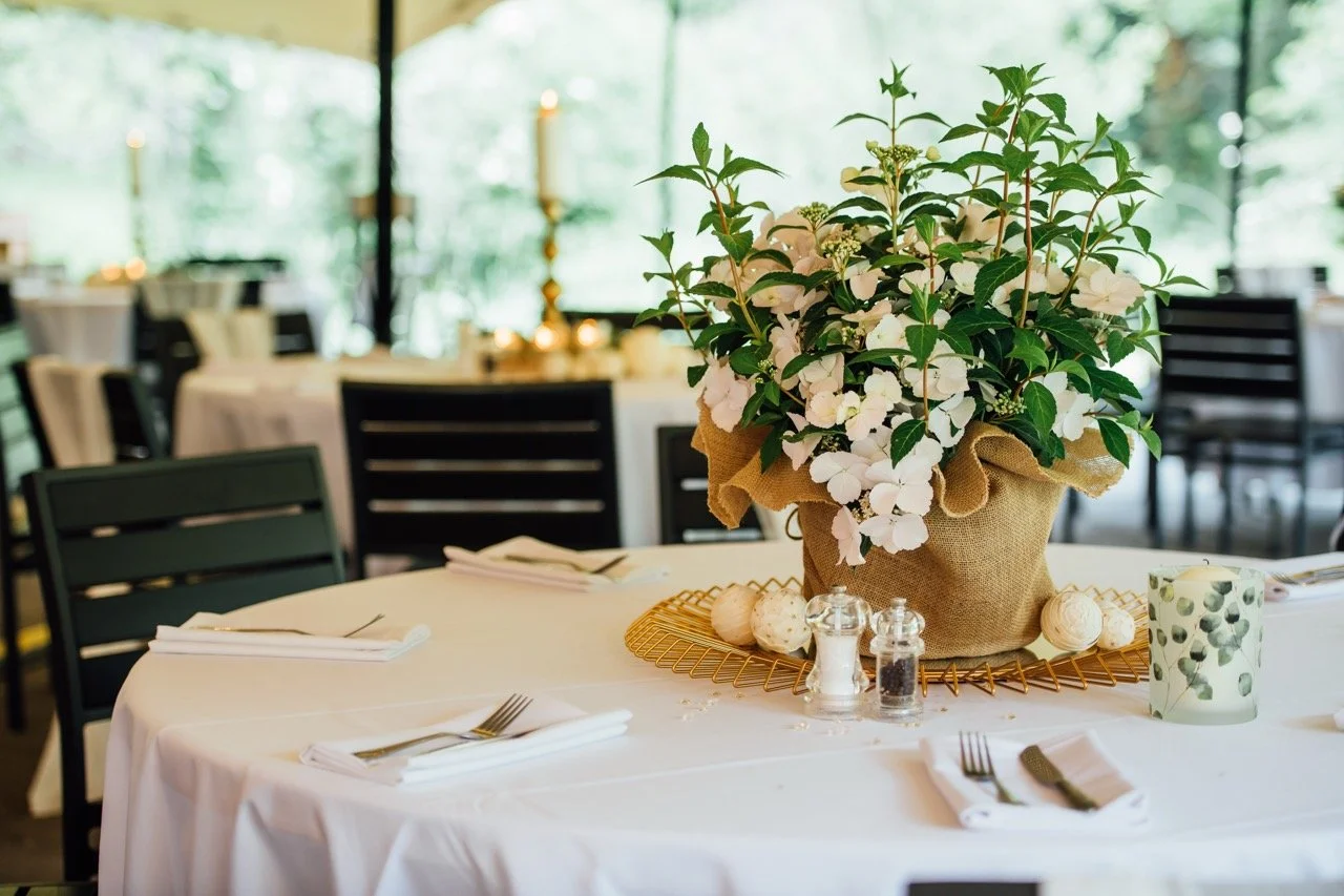 Decorated dining table with a large floral arrangement of white flowers and green foliage in a burlap-wrapped pot, set with napkins, forks, and a candle, in a bright, elegant restaurant space with large windows.