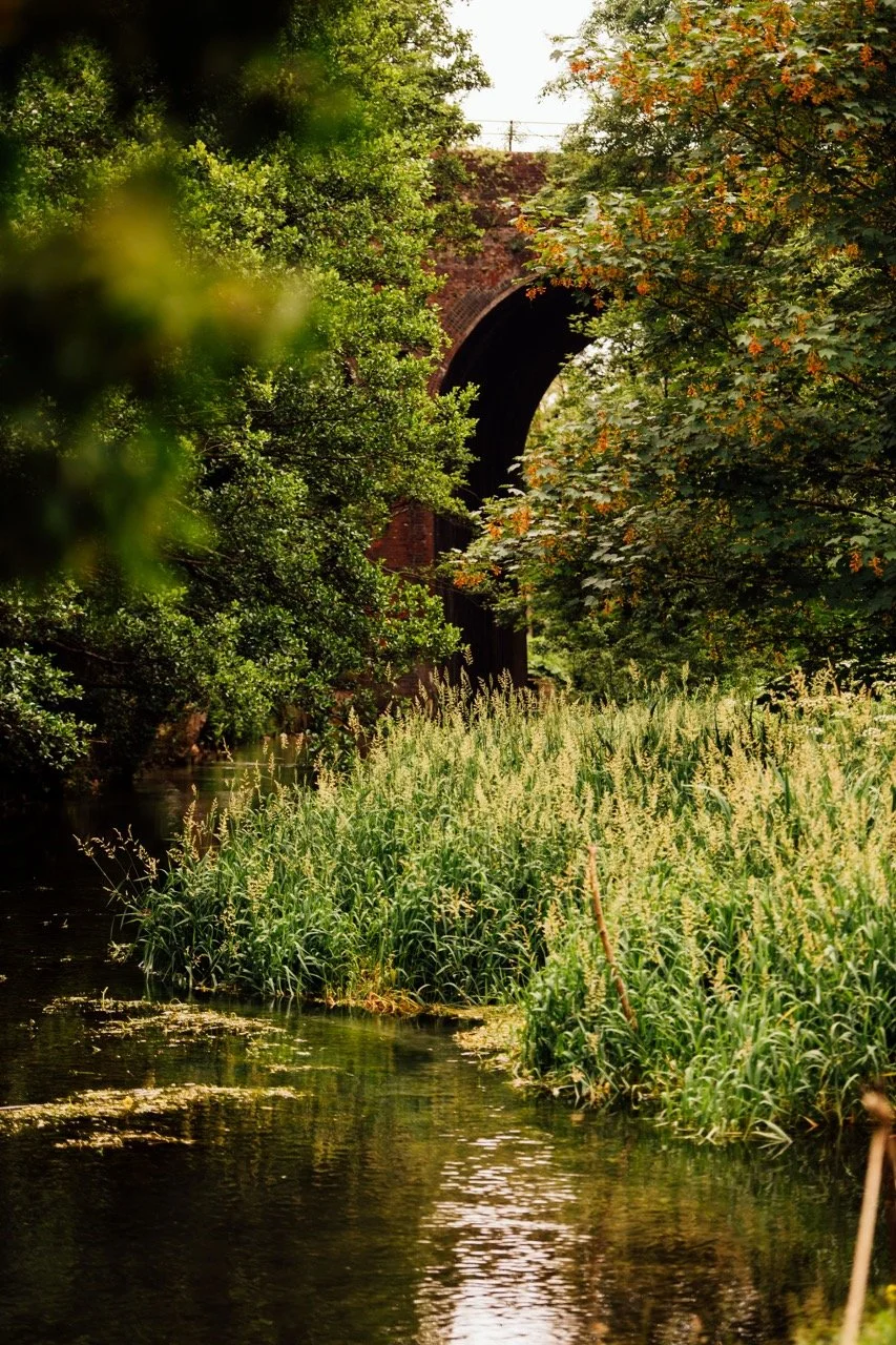 A peaceful scene of a narrow river or stream surrounded by lush green trees and tall grasses, with a brick arch bridge in the background.