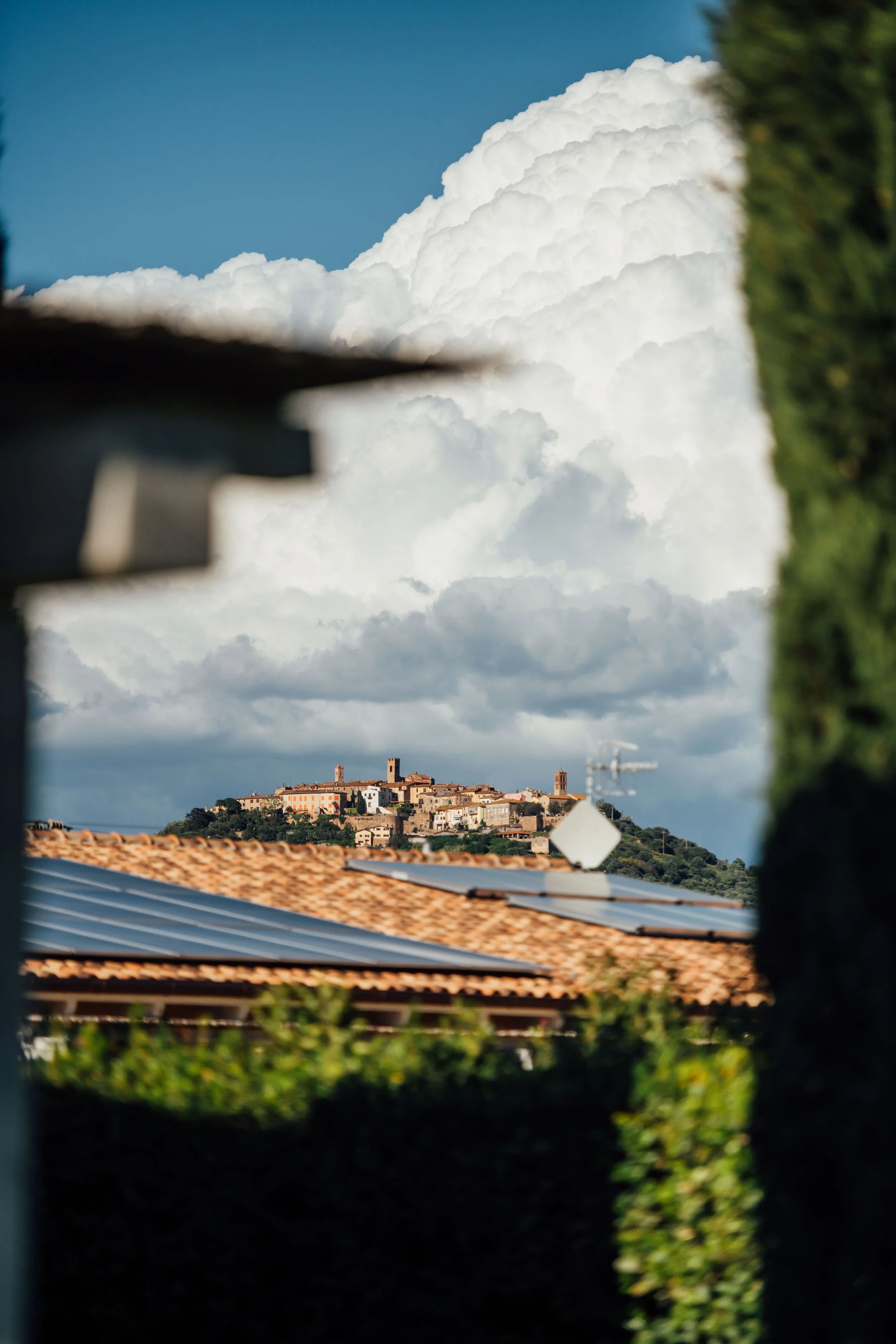 Mabbutt Wedding -31.jpg