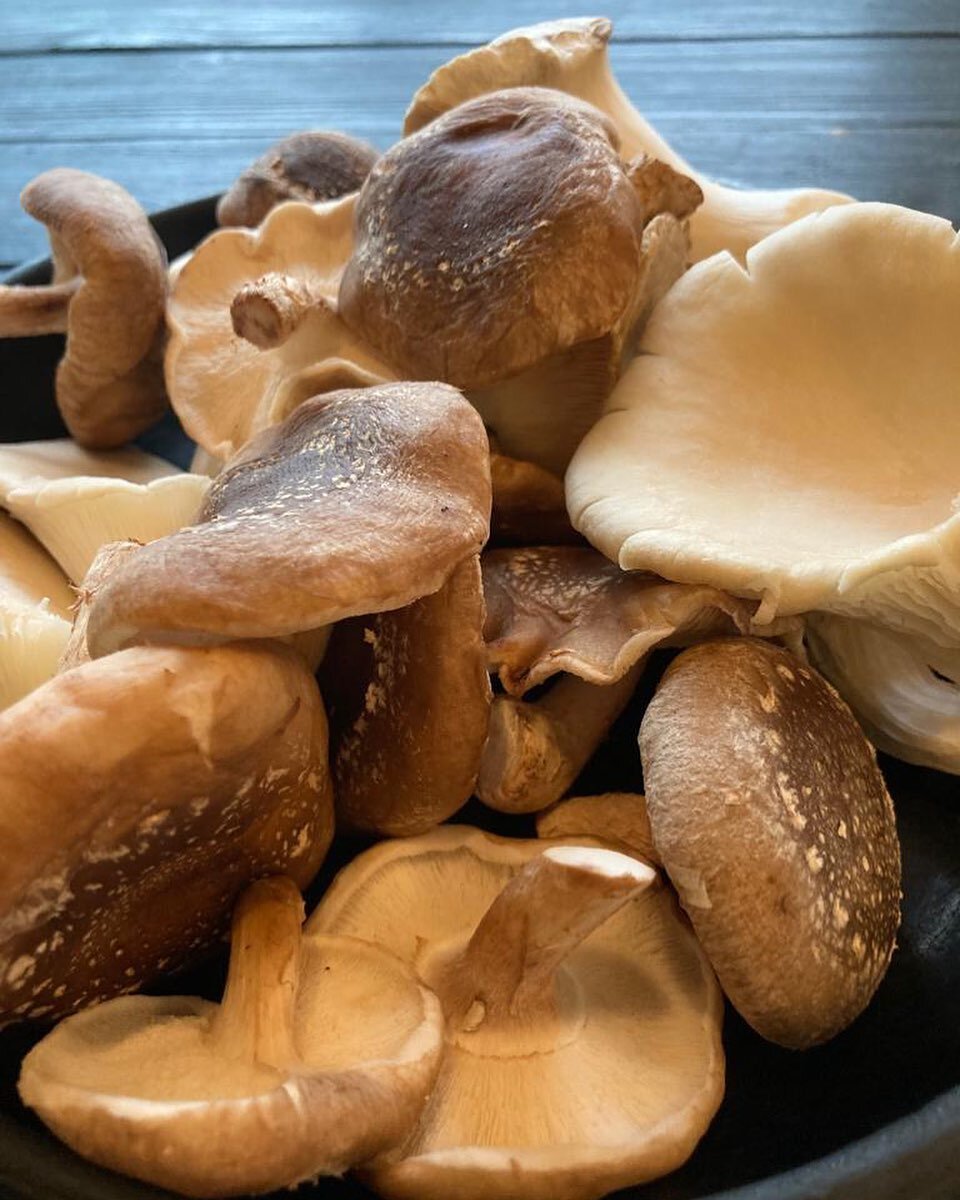 paddenstoelen als onderdeel van onze risotto. dit weekend ook in afhaal.