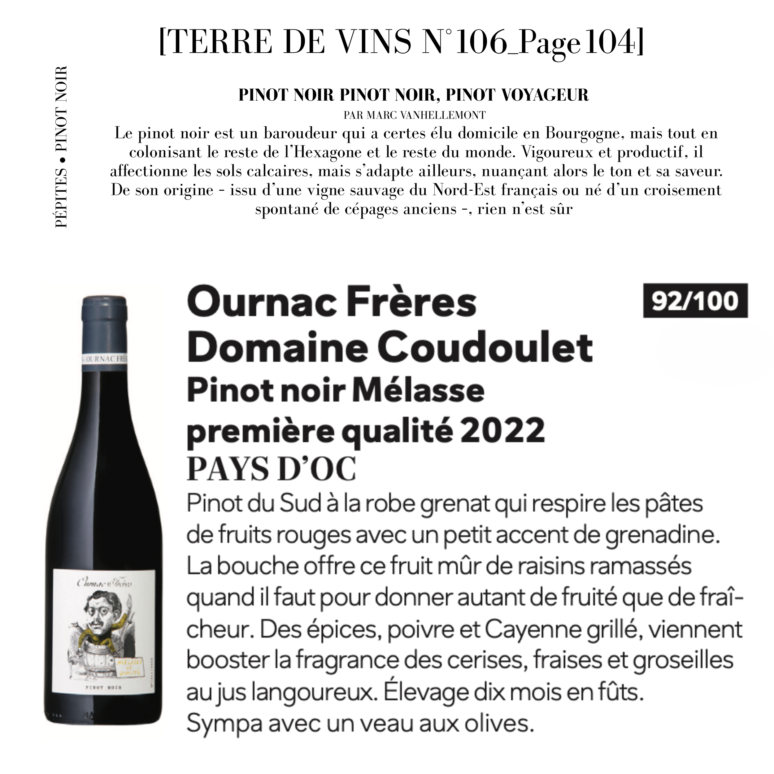 Pinot noir Mélasse 22 - TDV 106.png