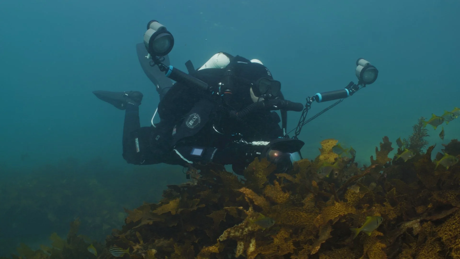 Woody Spark diving on a closed-circuit rebreather in Sydney waters