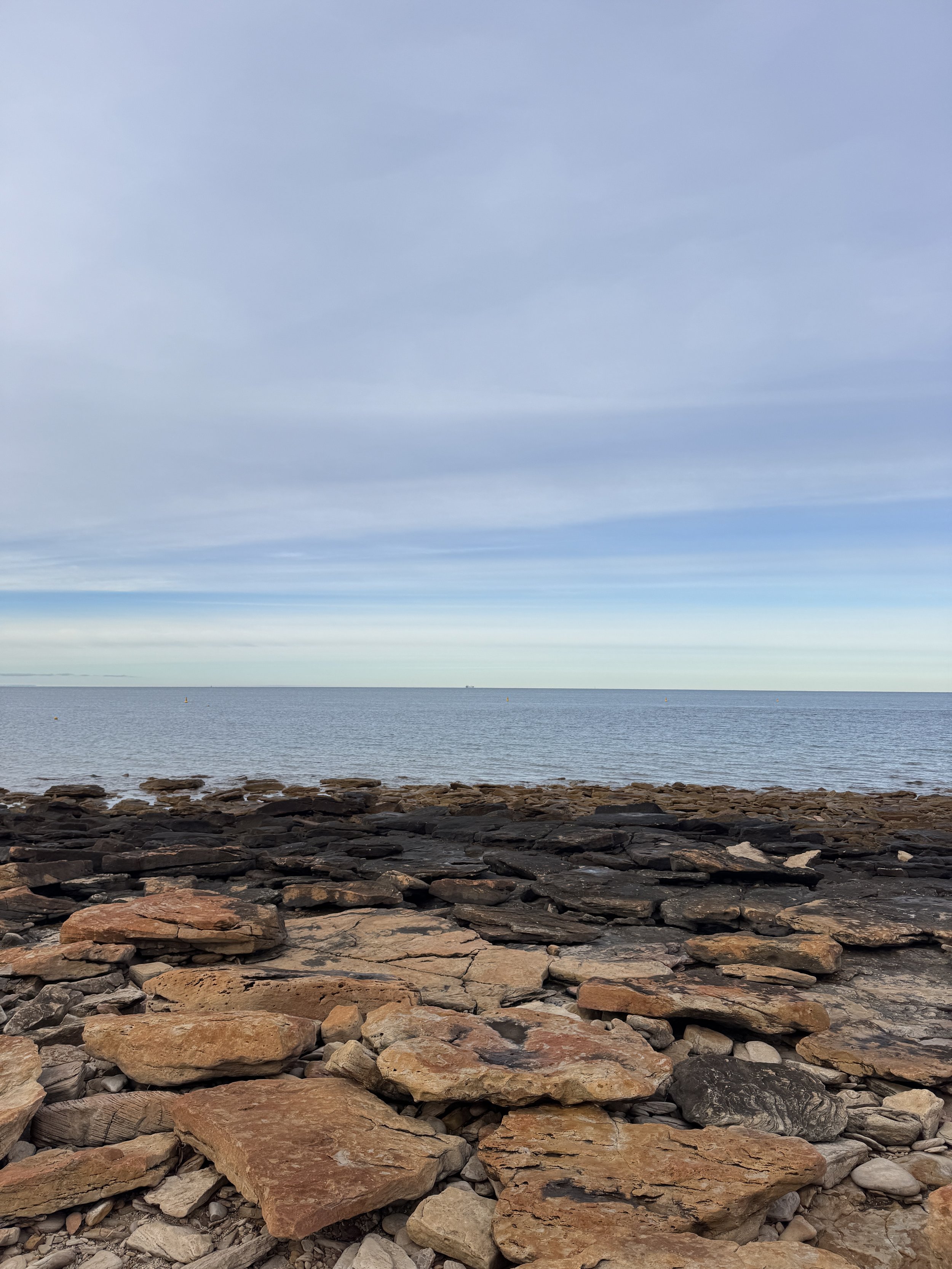 whyalla-coastline-cuttlefish-season-2026.jpg
