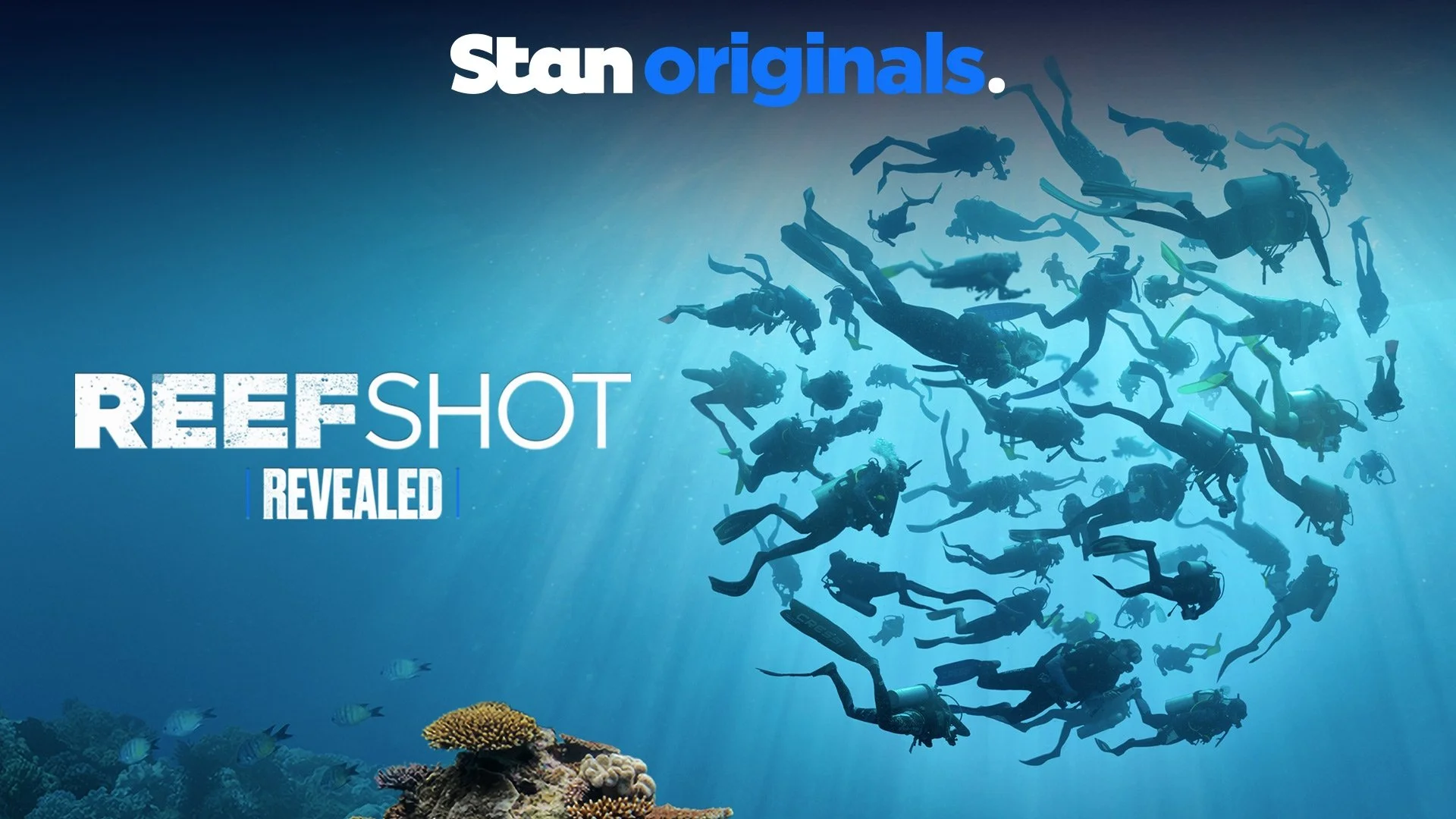 REEF SHOT | STAN