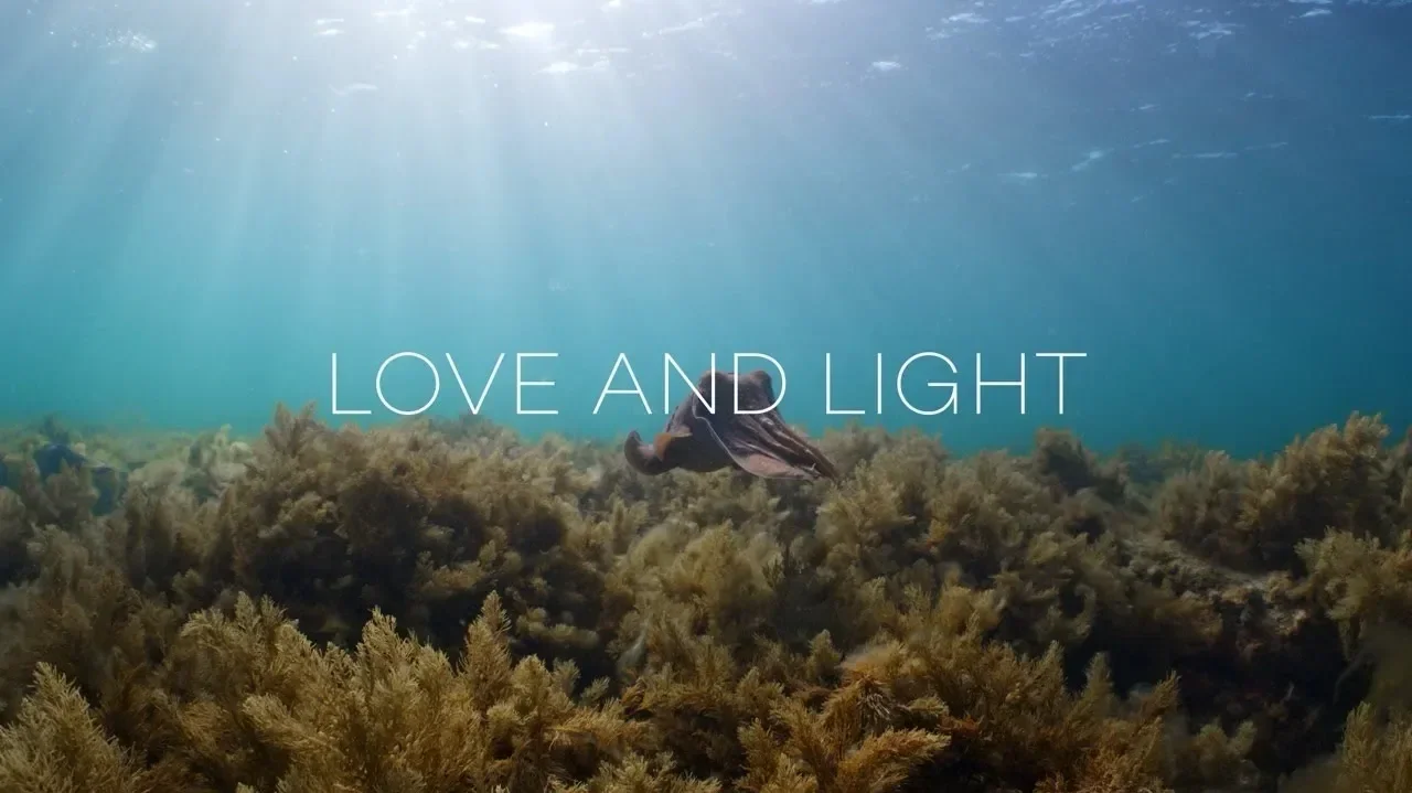 LOVE AND LIGHT