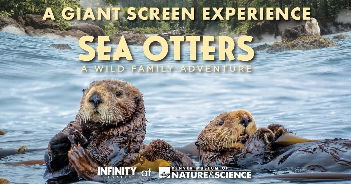 SEA OTTERS: A Wild Family Adventure | IMAX