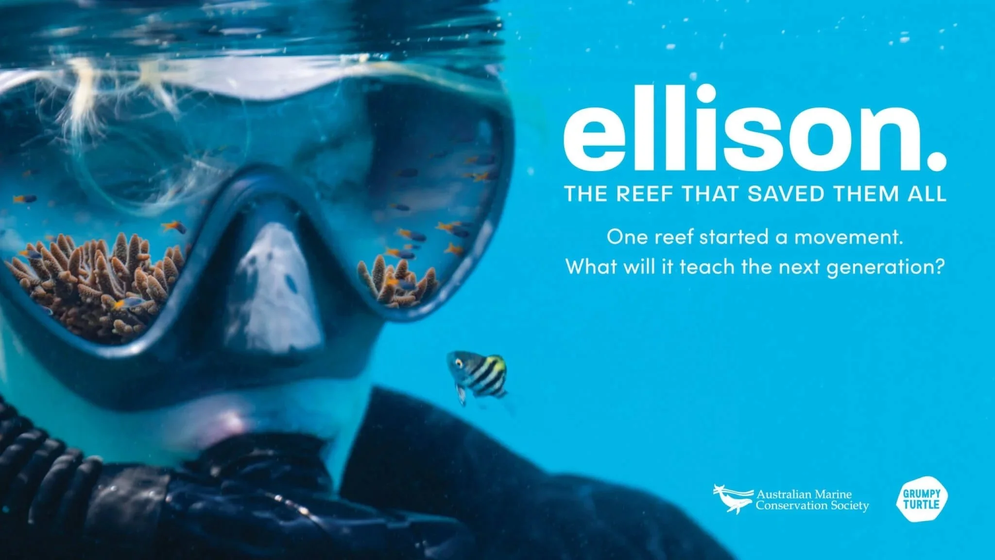 ELLISON: THE REEF THAT SAVED THE ALL | AMCS