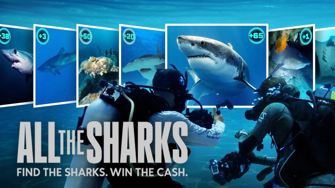 ALL THE SHARKS | NETFLIX