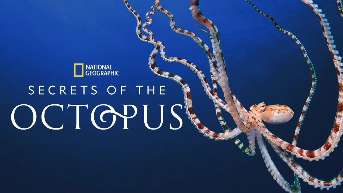 SECRETS OF THE OCTOPUS | DISNEY+