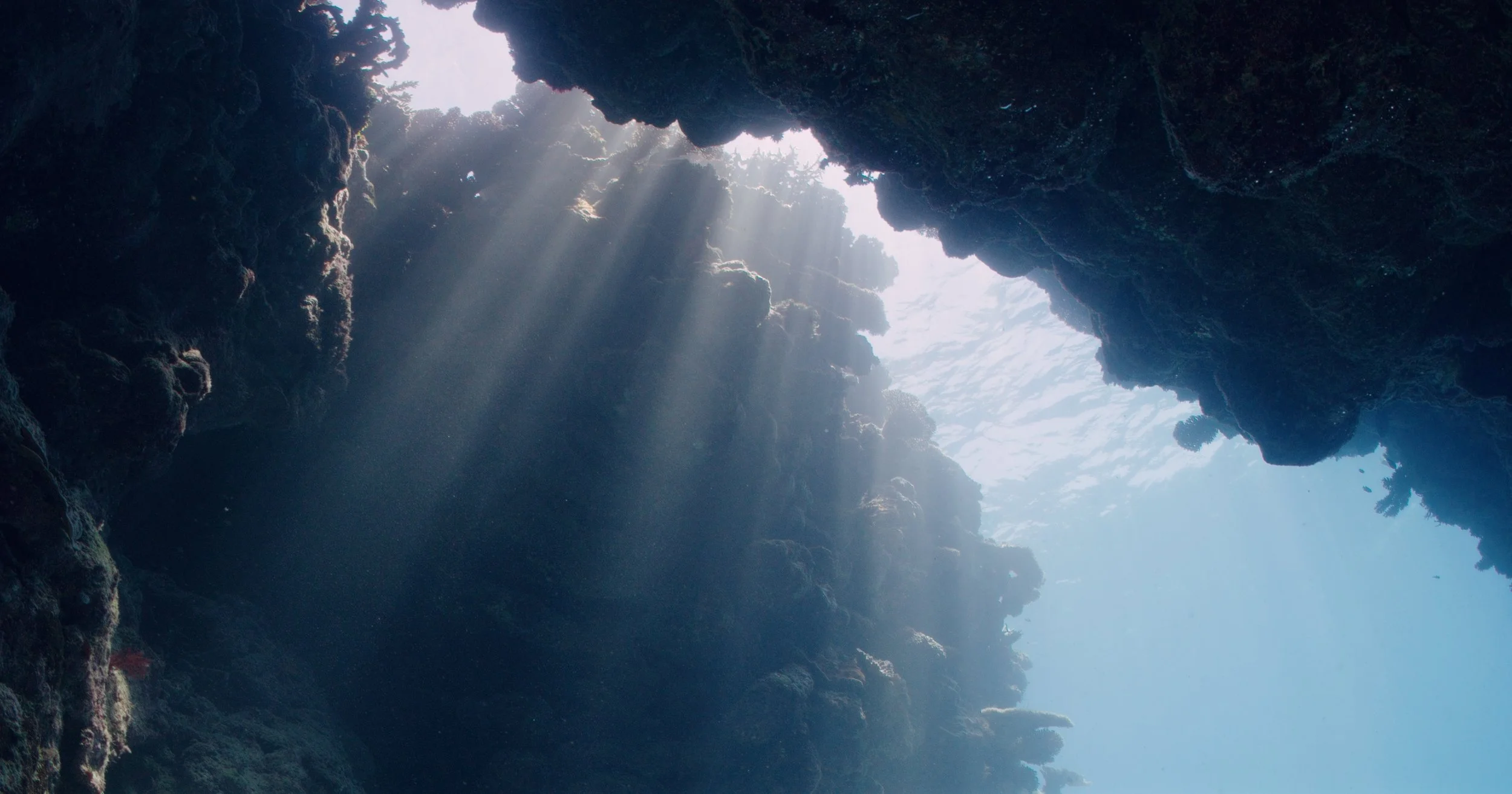 Light filtering through an underwater cavern on the Great Barrier Reef