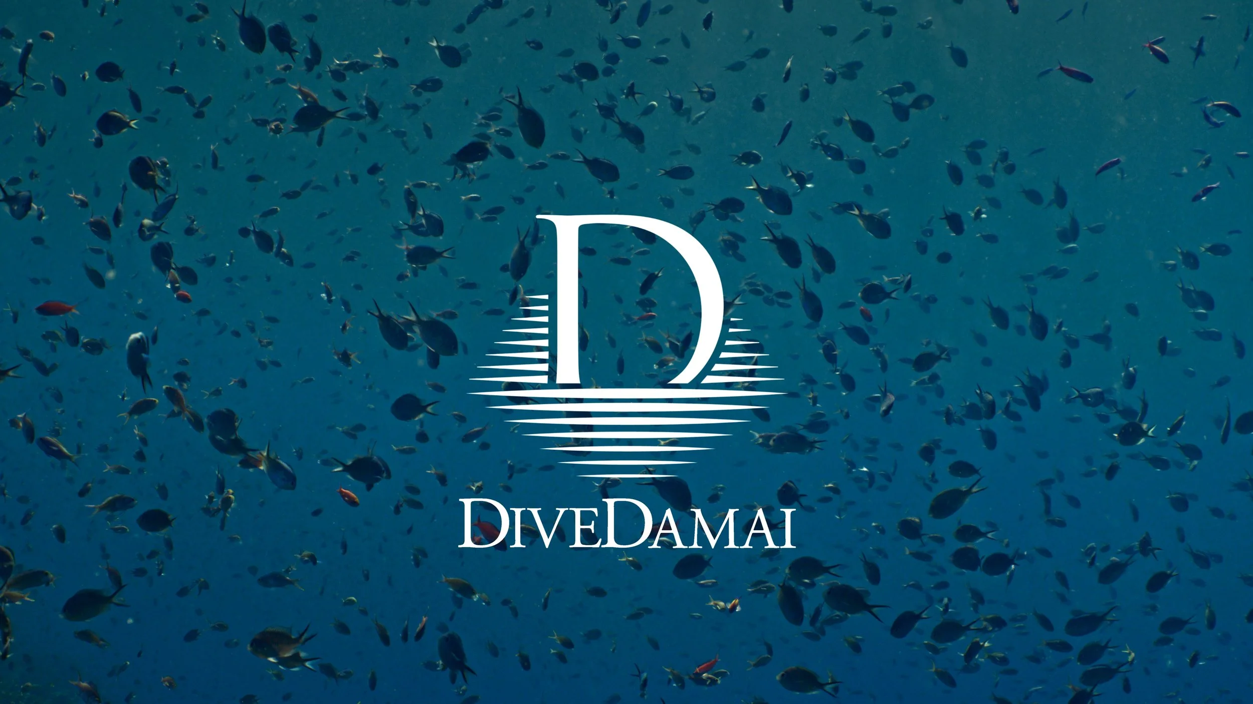 INDAH SEKALI | DIVE DAMAI
