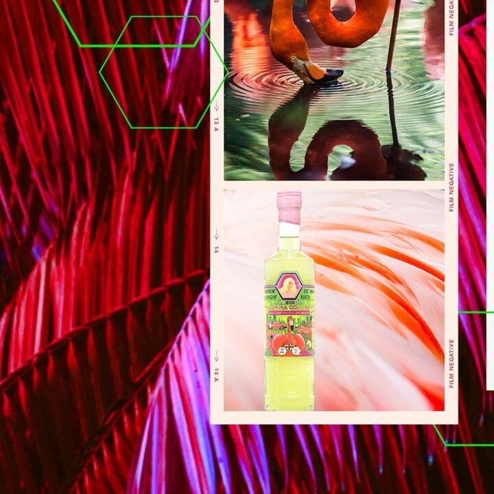 ✨Introducing... the 'FlaGINgo GEMMA COLLINS' Premium Gin Liqueur 💫
Propelling straight out of @Zymurgorium dreams and onto the shelves this Christmas, we've been busy working behind the scenes with @GemmaCollins to launch the DIVA of all gin liqu