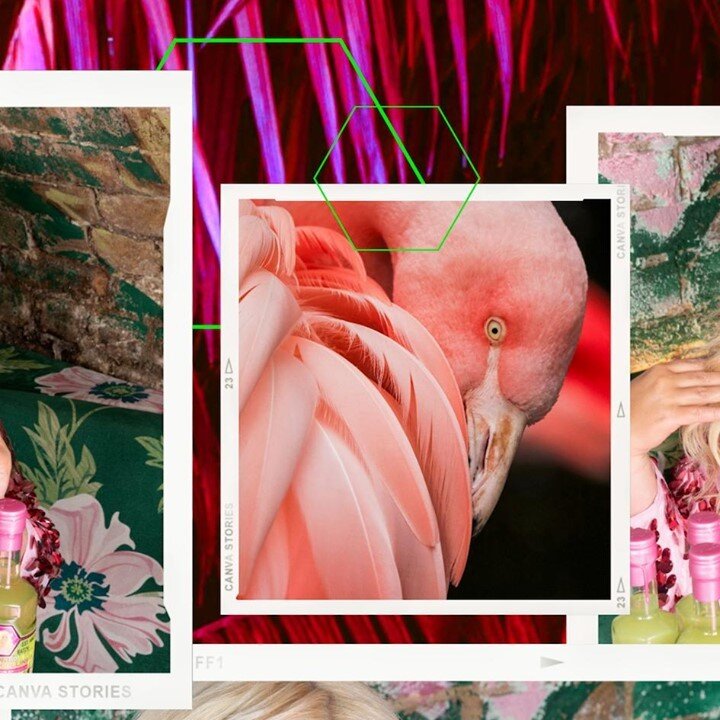 ✨Introducing... the 'FlaGINgo GEMMA COLLINS' Premium Gin Liqueur 💫
Propelling straight out of @Zymurgorium dreams and onto the shelves this Christmas, we've been busy working behind the scenes with @GemmaCollins to launch the DIVA of all gin liqu