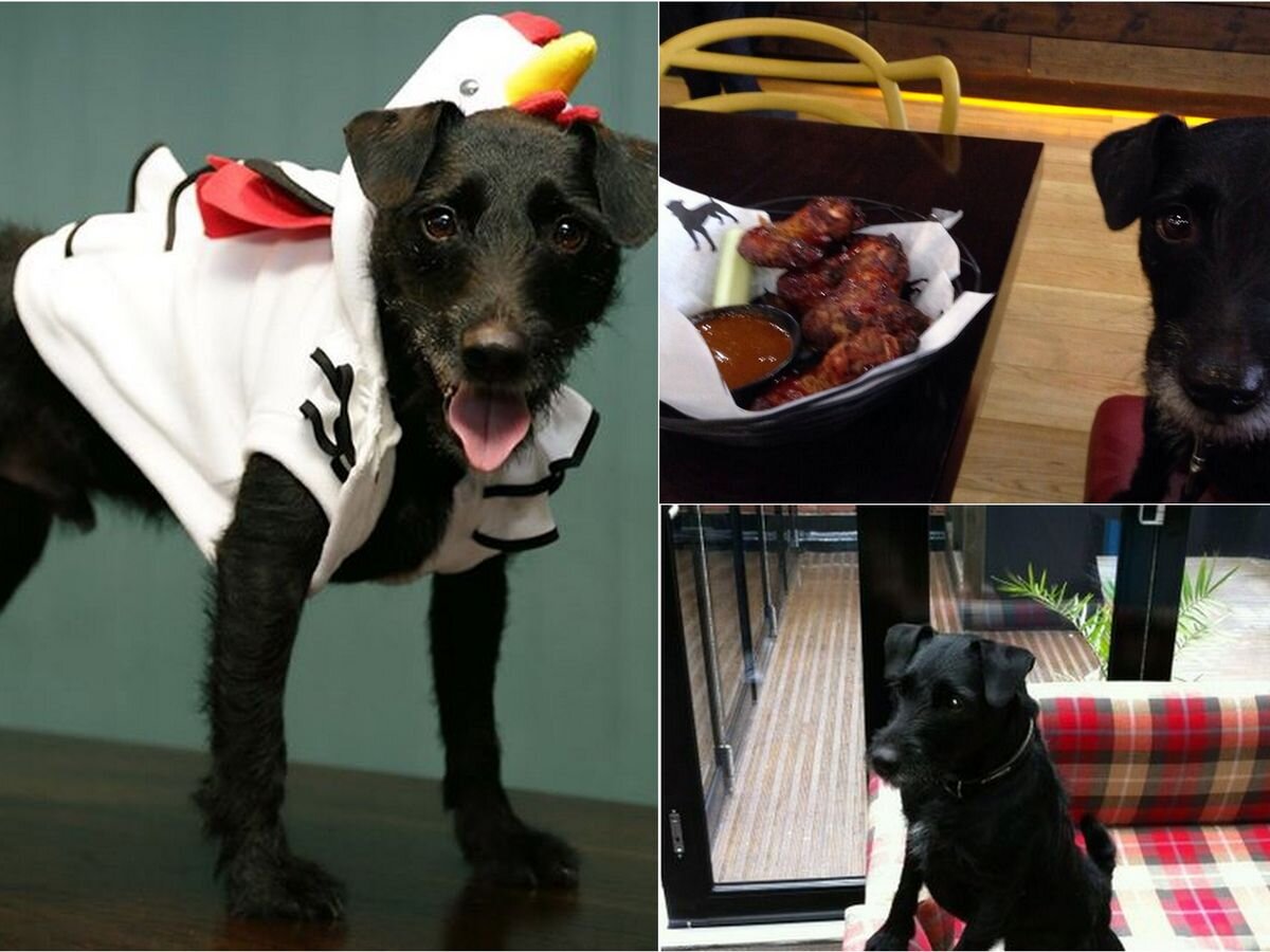 A lonely heart with a difference.