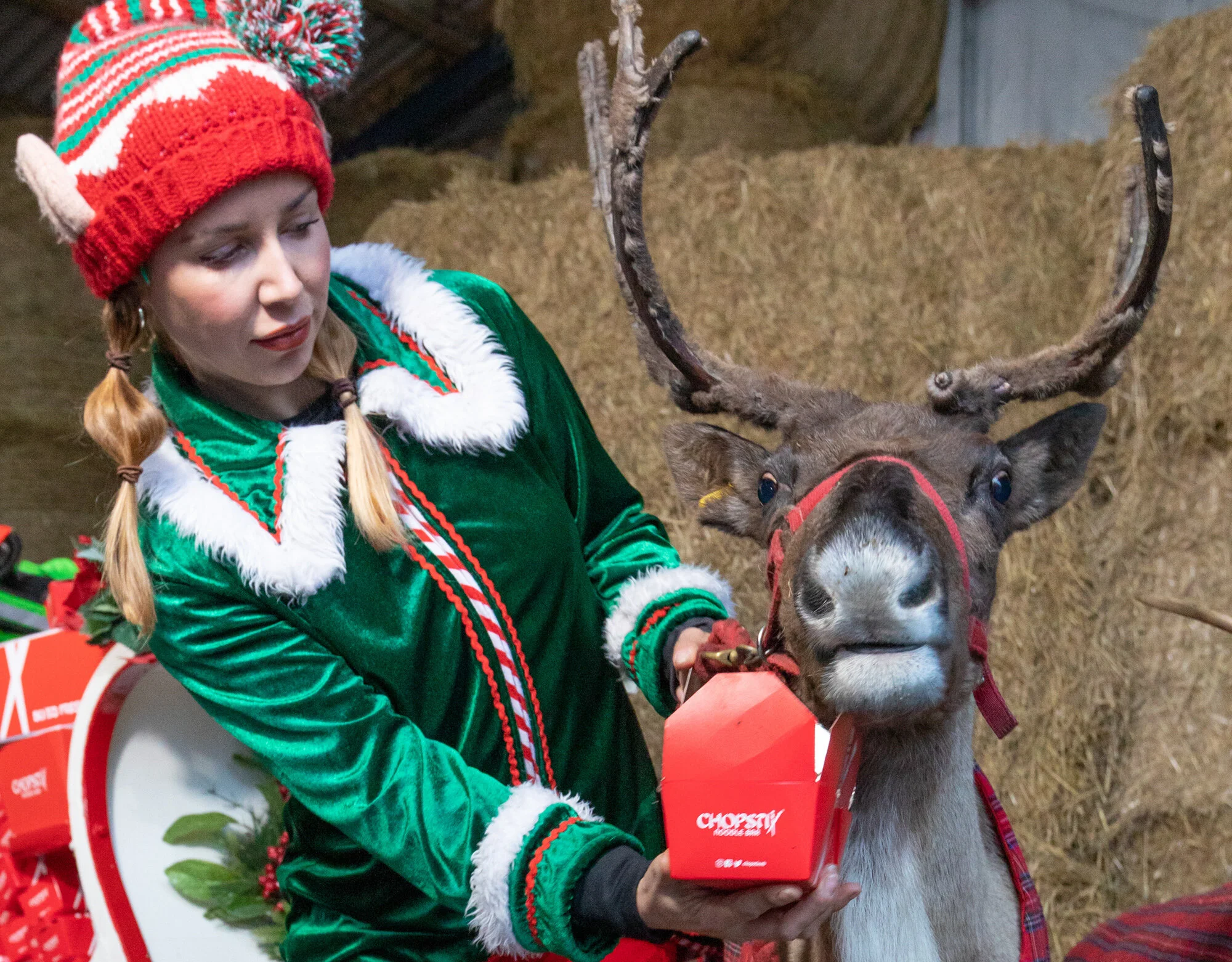 201214_chopstix_reindeer_006 copy.jpg