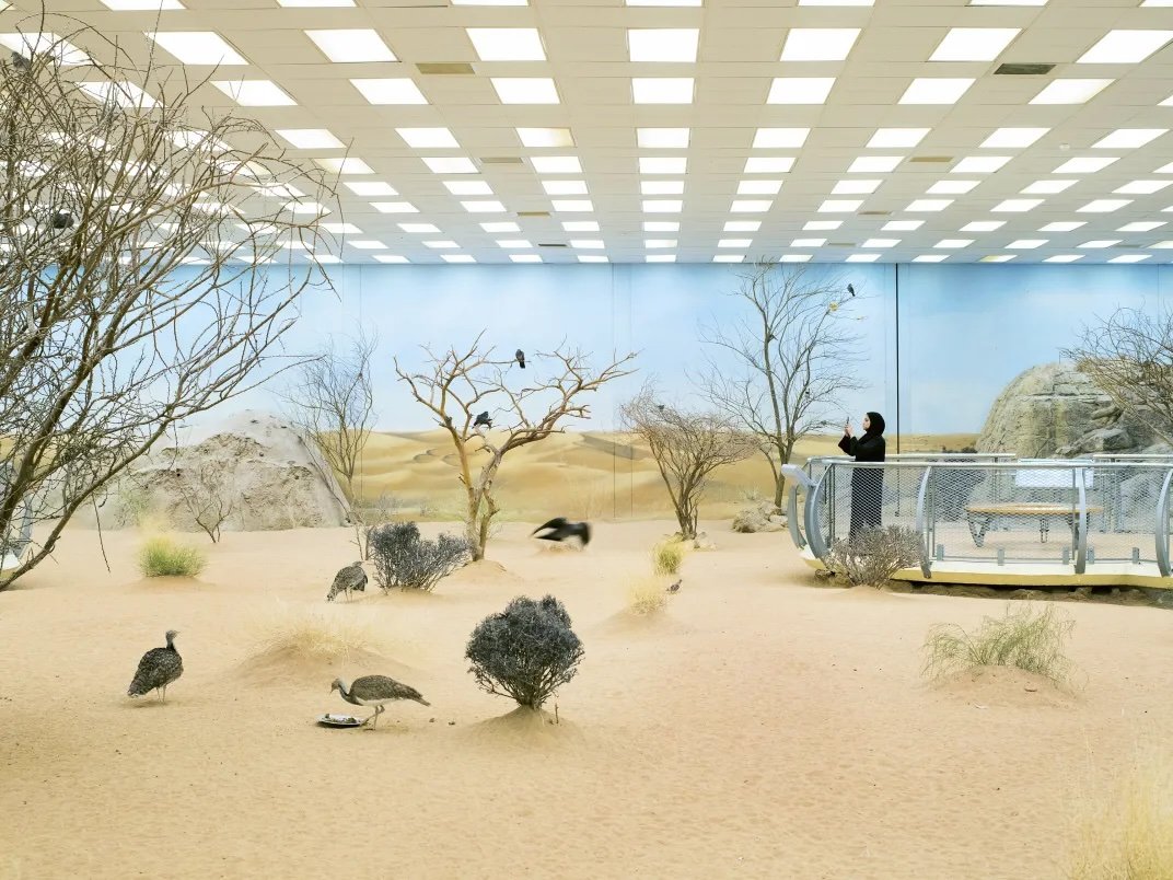 2019_farah_al_qasimi_art_3.jpg