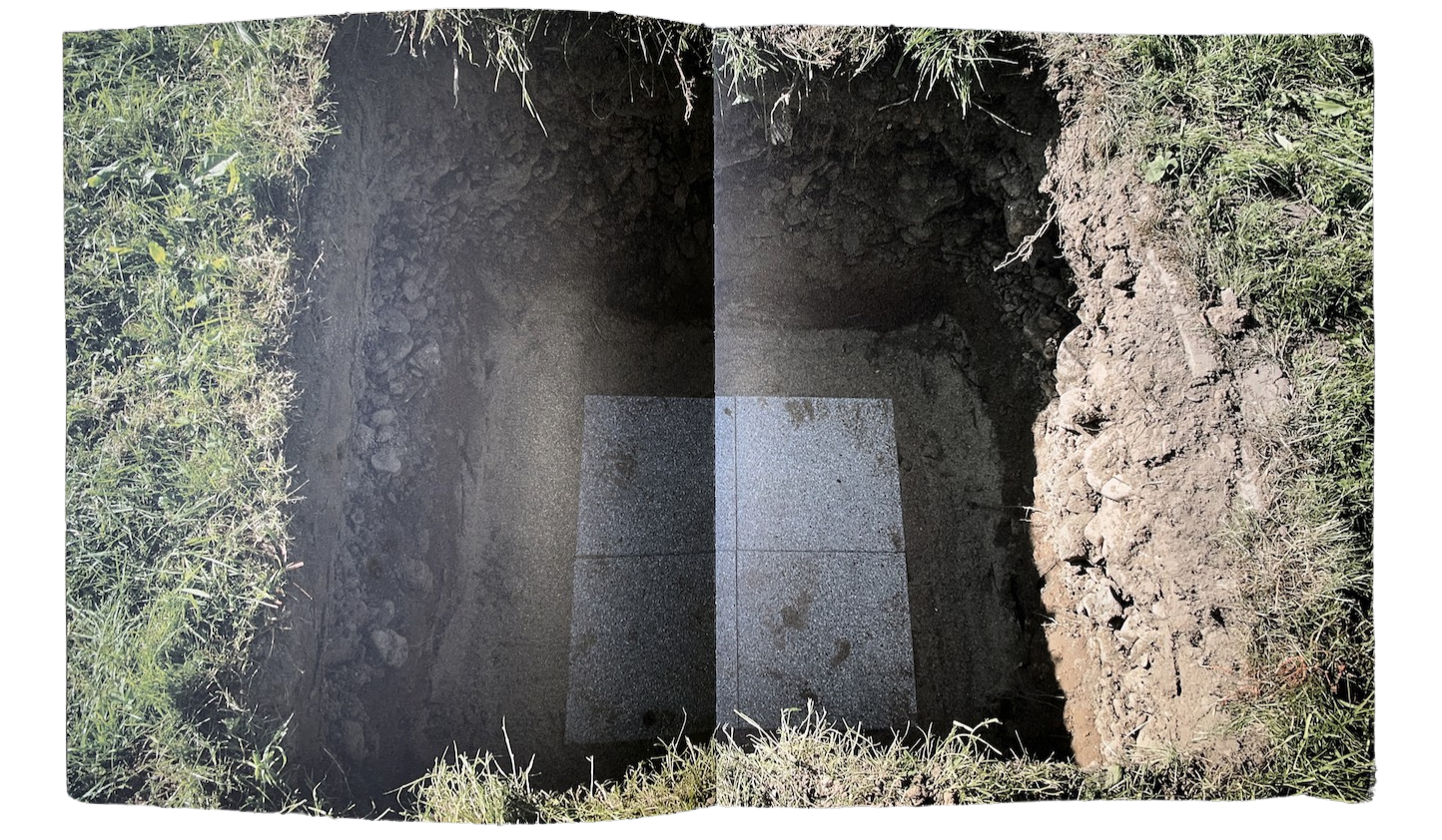 c8c63732-5756-470d-8b75-a2d72832805f.png