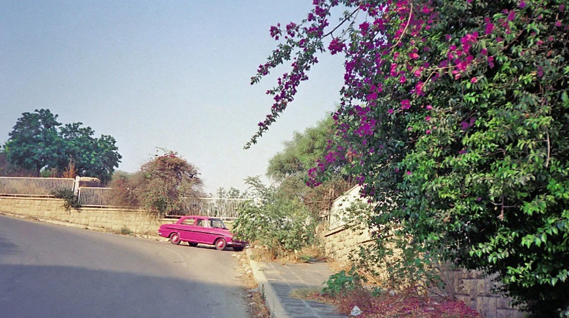 WD-Image-1-1170x655.jpg