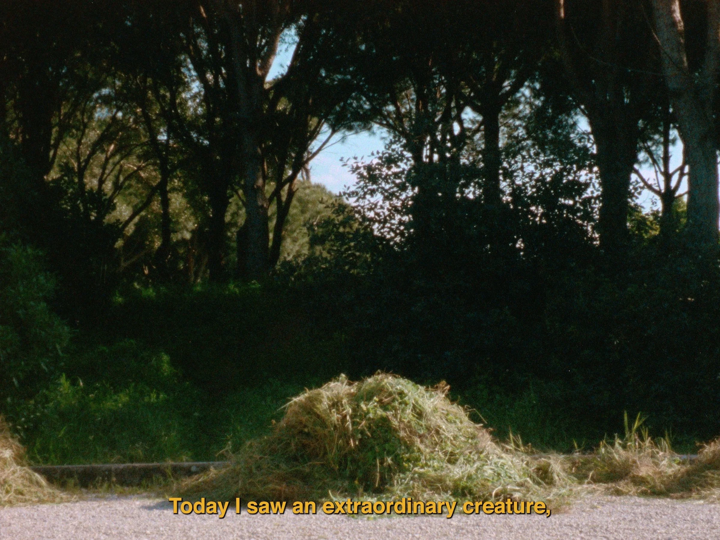 The Secret Garden_Still3_Nour Ouayda_300dpi.jpg