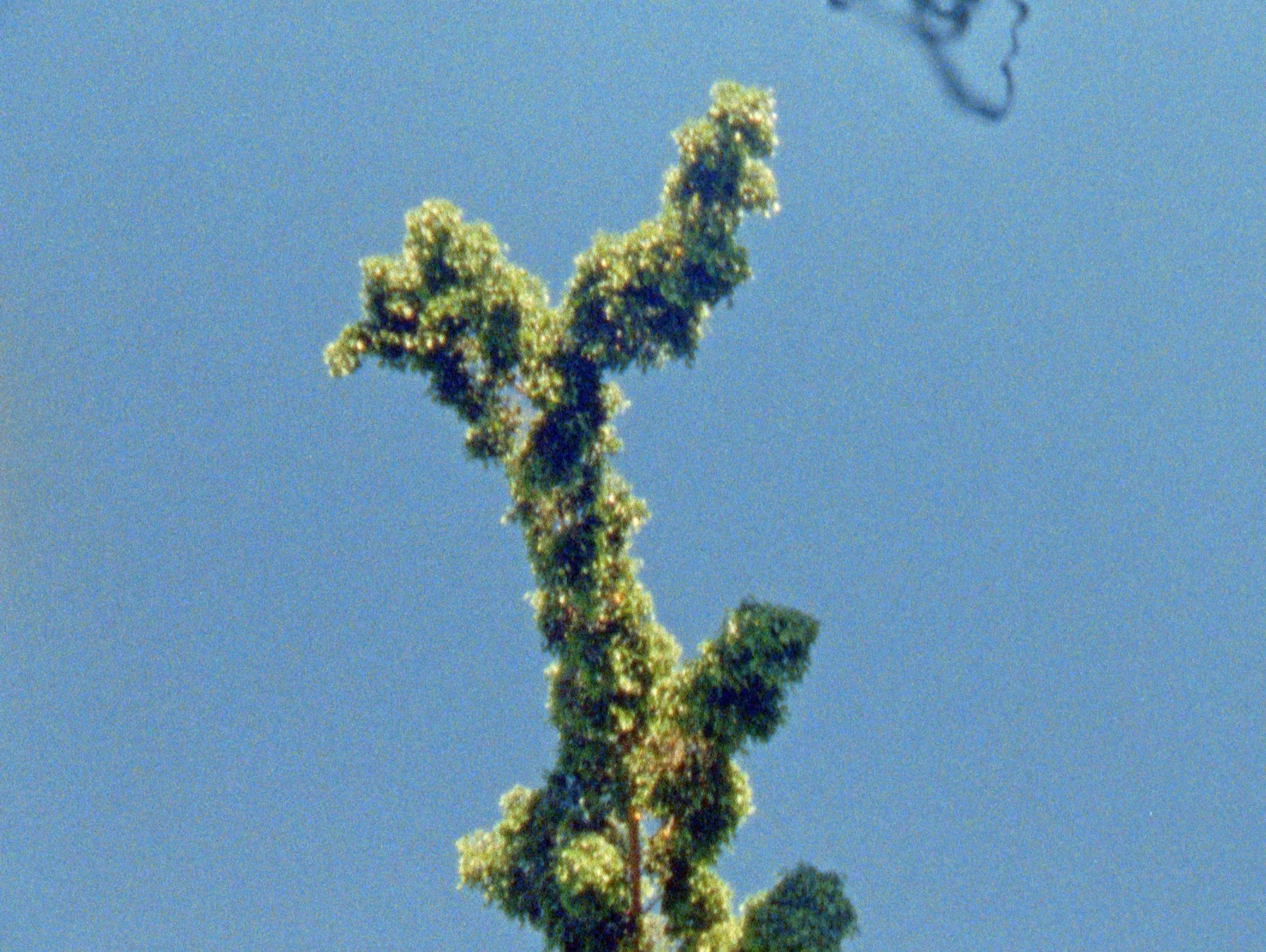 NOUR OUAYDA: THE SECRET GARDEN