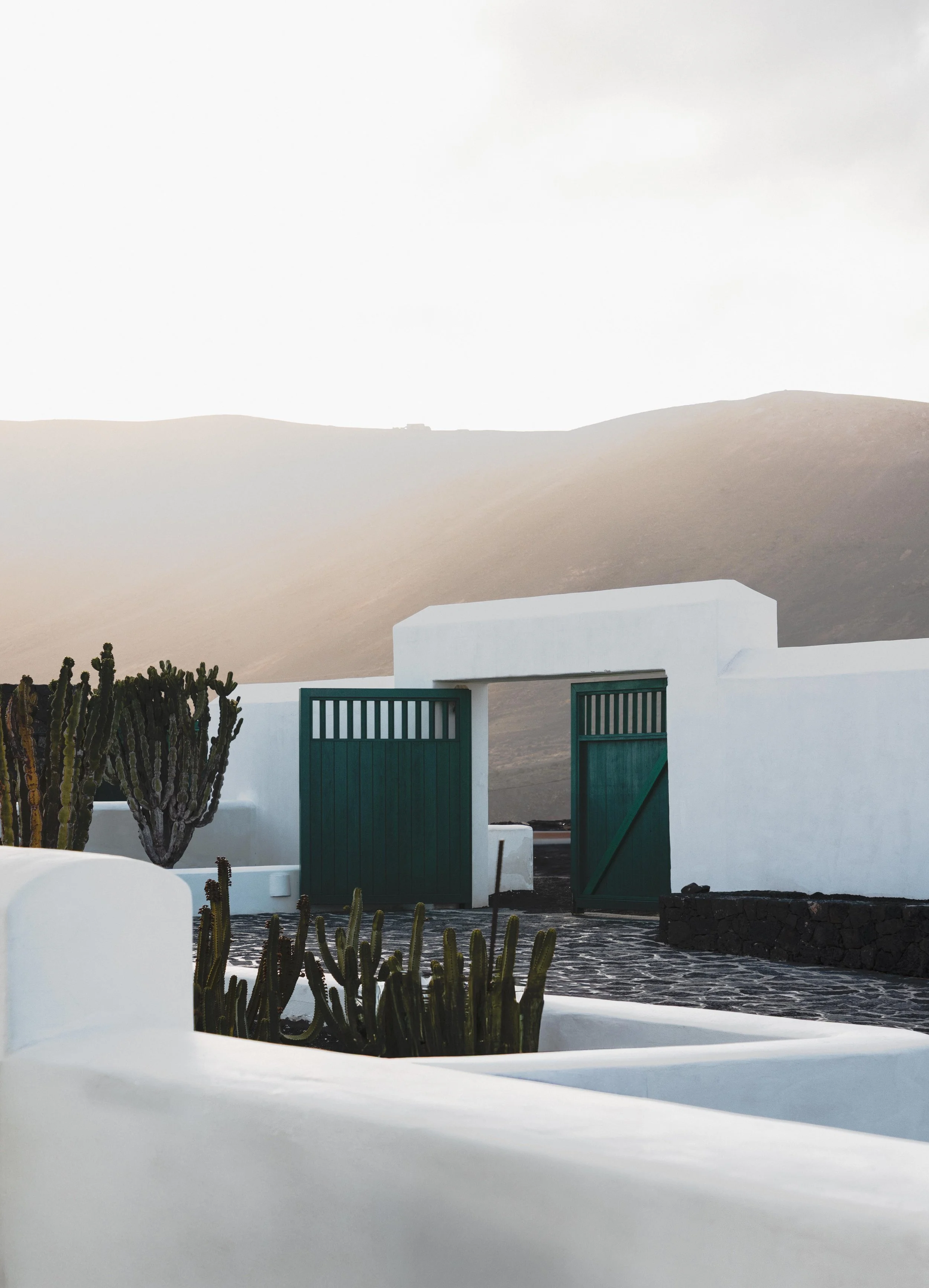 Cesar_Initial_Freddie LOW RES-9703.jpg