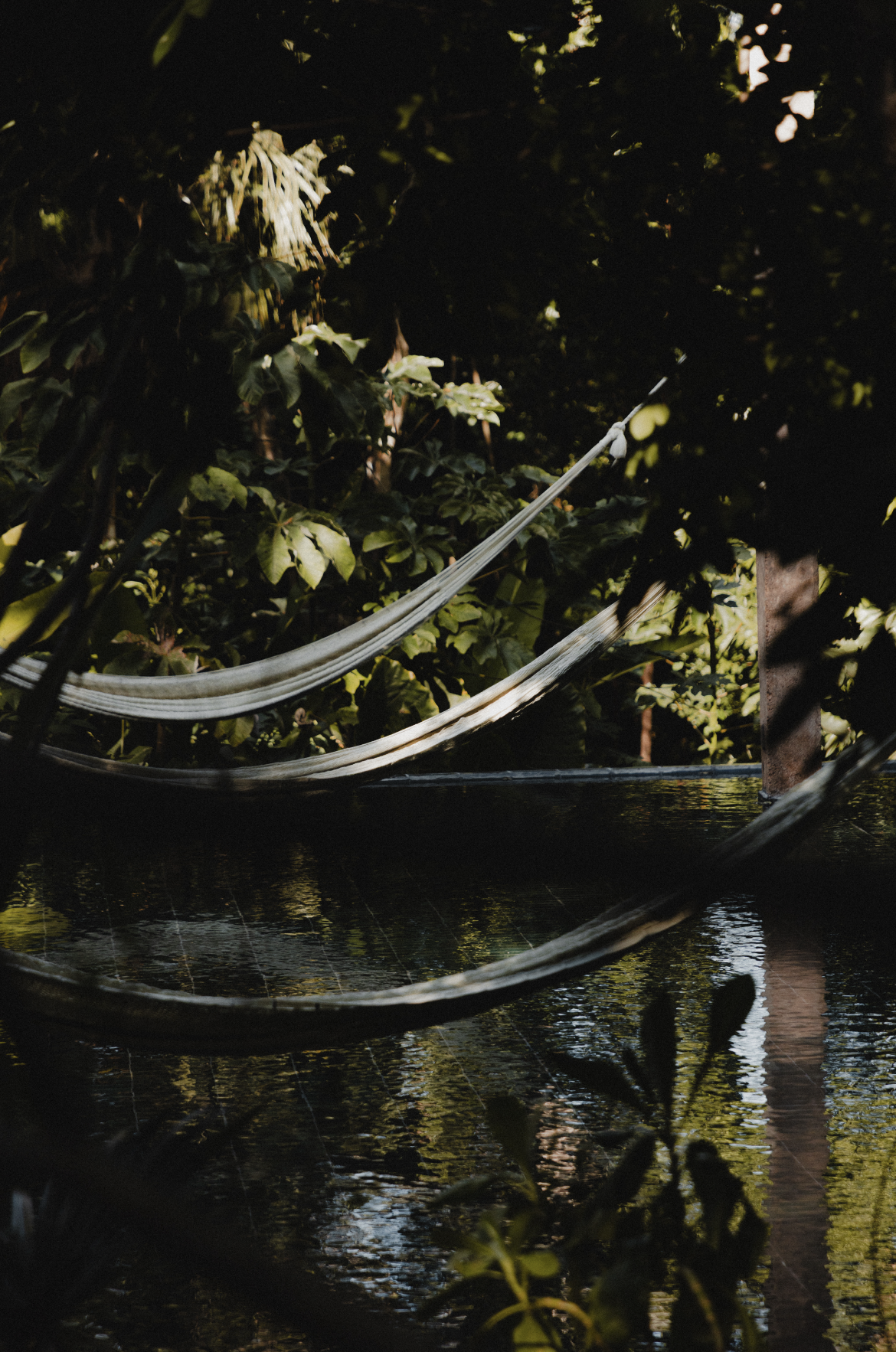 Screenshot 2026-03-01 at 19.39.58.png