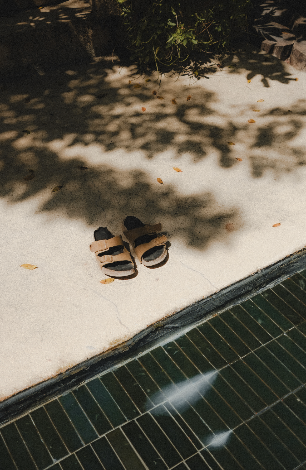 Screenshot 2026-03-01 at 19.39.29.png