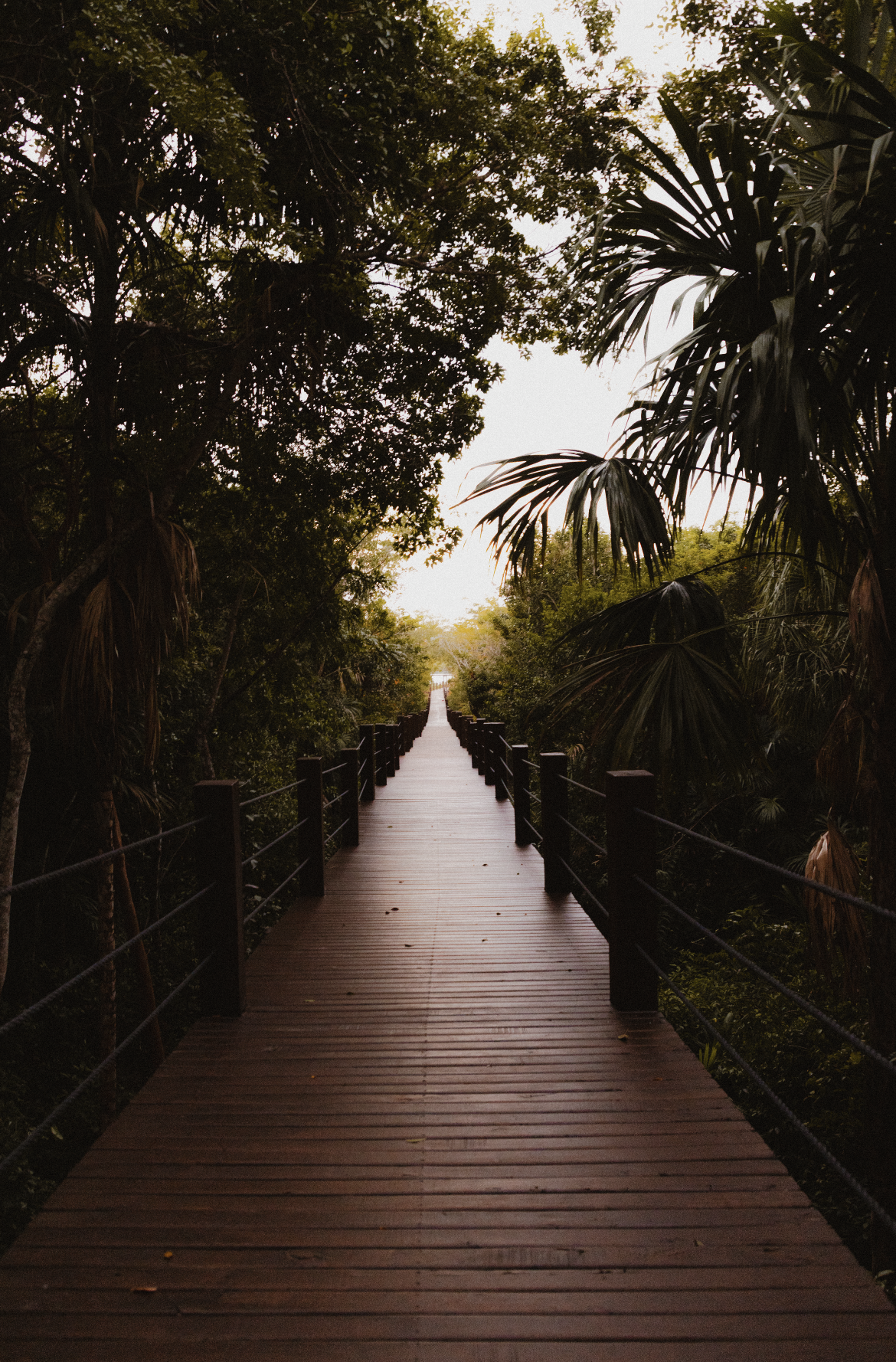 Screenshot 2026-03-01 at 19.39.24.png