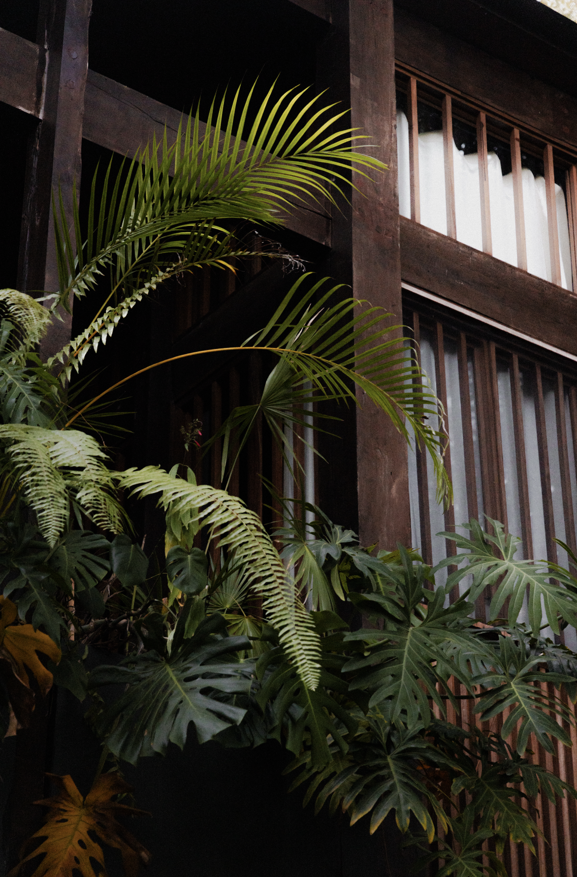 Screenshot 2026-03-01 at 19.39.39.png