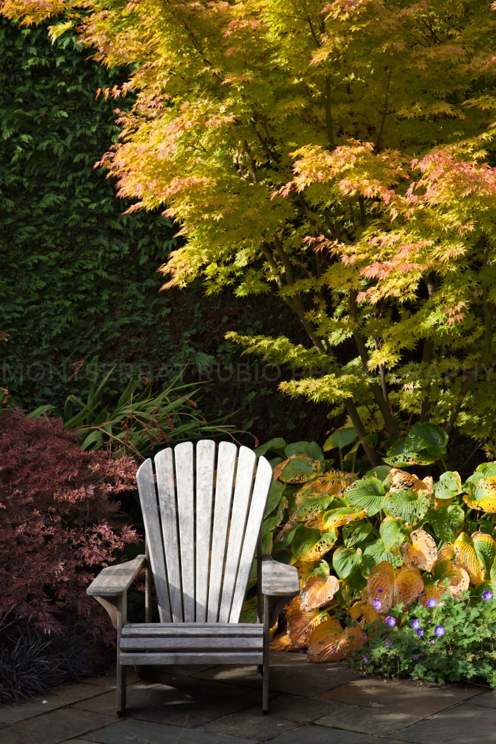 Autumn Garden _Seat.jpg