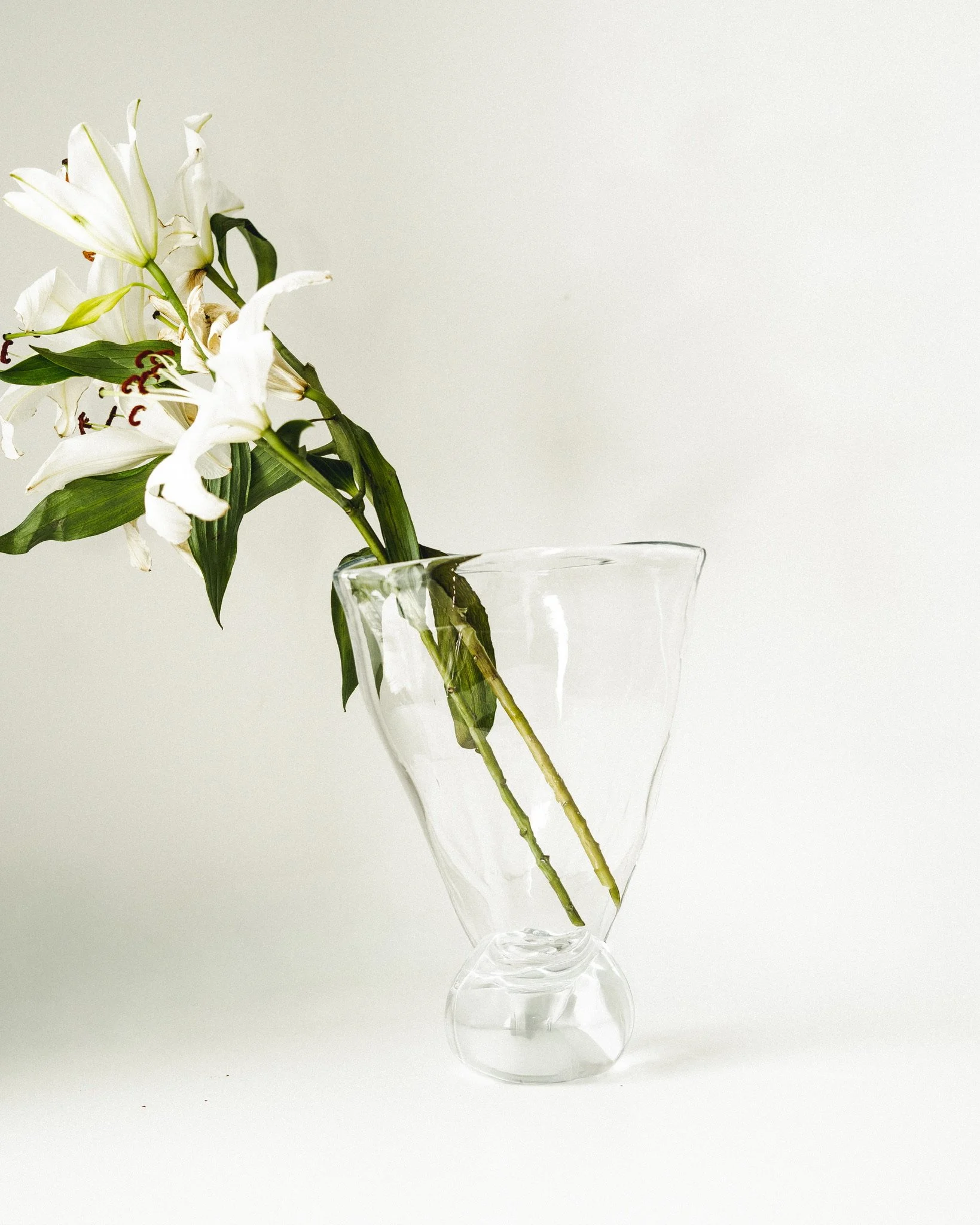 WIDE EDEN VASE