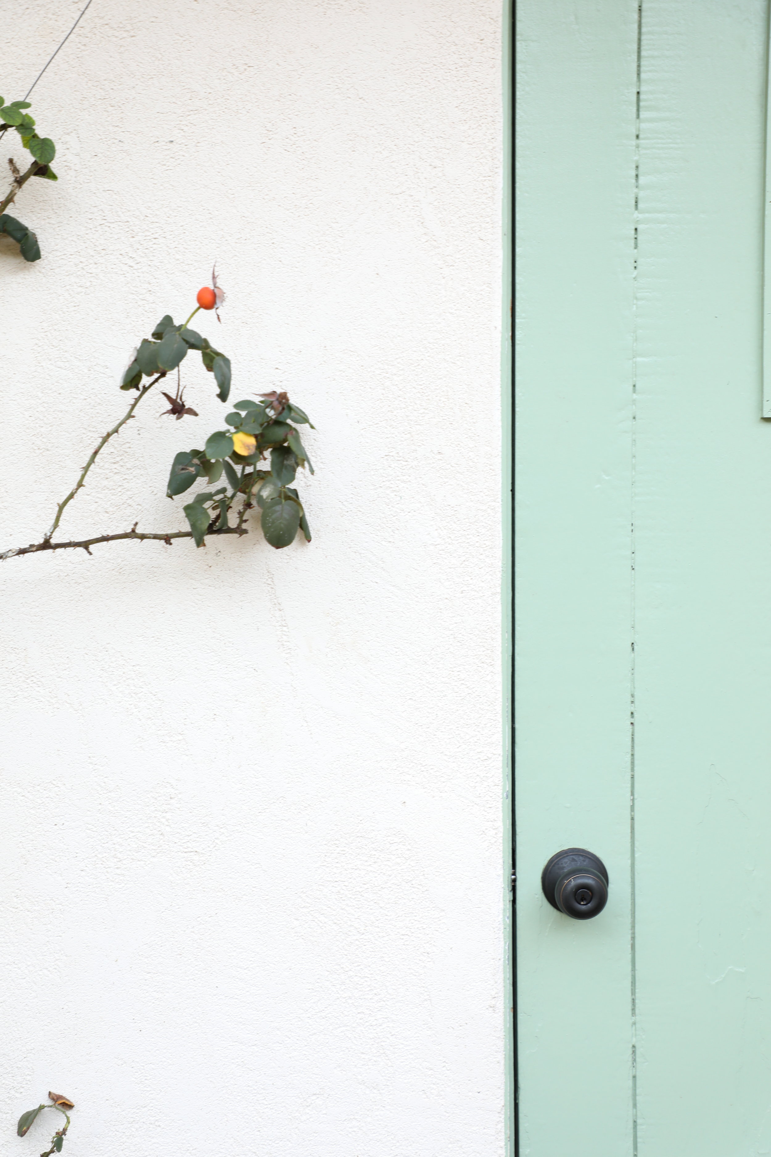 Welcome to Authentic